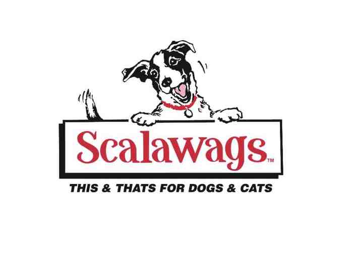 Christmas Countdown Calendar courtesy of Scalawags Pet Boutique