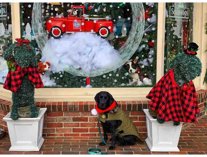 Christmas Countdown Calendar courtesy of Scalawags Pet Boutique