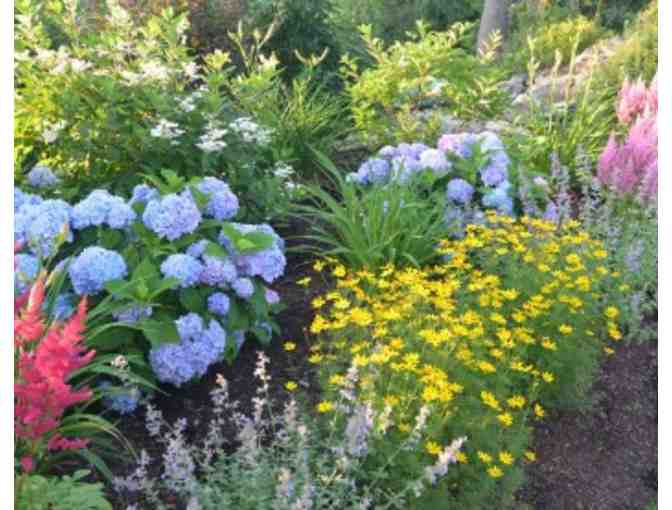 Landscape Design Consulation by CL Design & Landscape