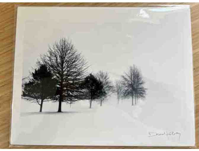 Phosart Photography by Donna M Kabay courtesy of Beach Grass