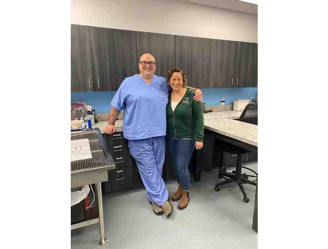 Physical Exam at Southern Maine Hospital for Small Mammals