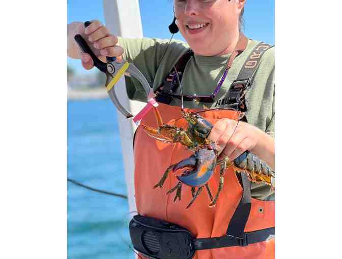 $100 Gift Certificate to Rugosa Lobster Tours - Photo 1