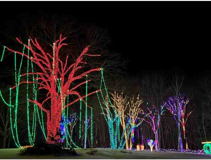 Winter Wonders Light Show on November 24th at Sandy Hill - Photo 6