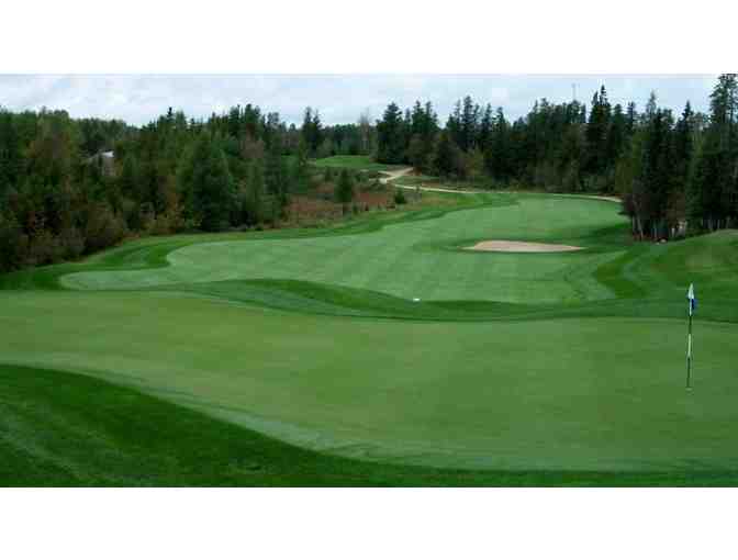 Foursome - Hollinger Golf Club (Carts Included)