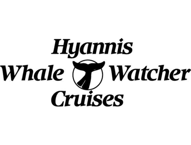 Hyannis Whale Watching Cruise - Photo 1