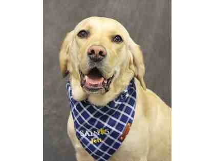 Jett's VIP Visit! (Main Campus)