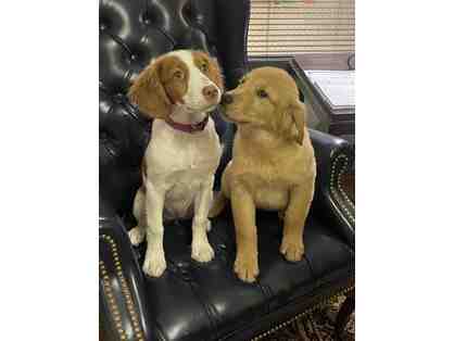 Lunch Date with Pickles and Weezie