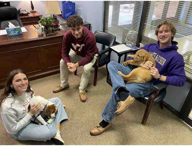 Lunch Date with Pickles and Weezie - Photo 4
