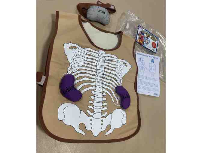 Science Learning Toy