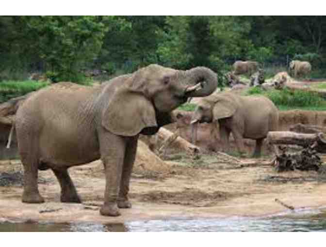 Four (4) Admission Passes to the Dallas Zoo