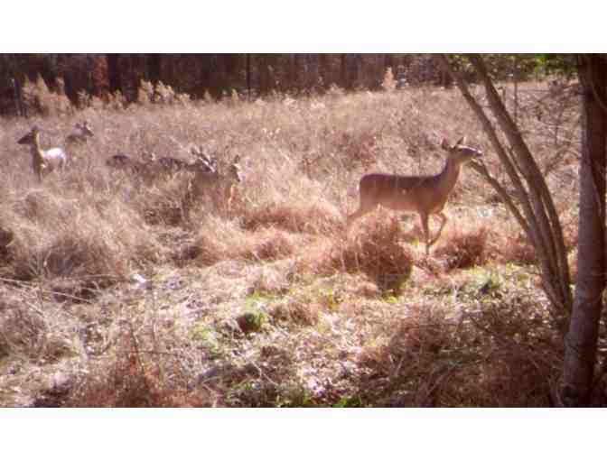 Hunting Adventure with Lane Newsome