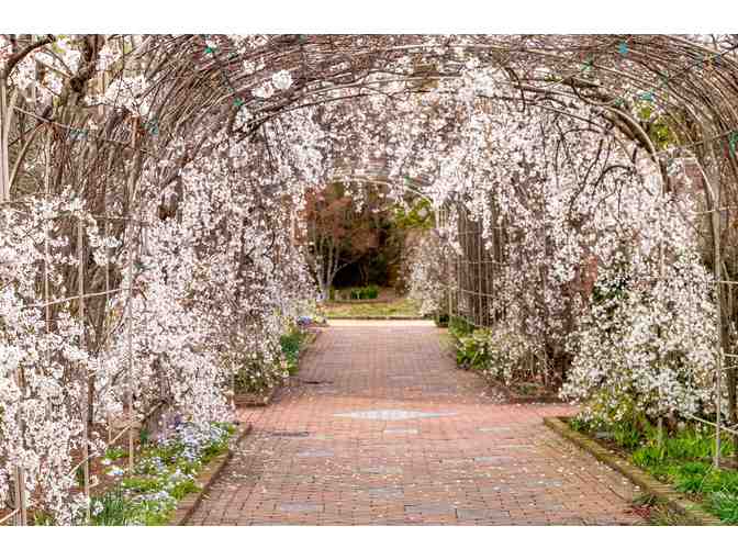 Lewis Ginter Botanical Garden Passes