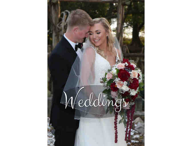 Photo Session with Bunny