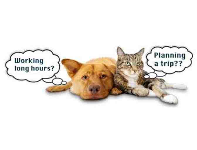 Pet Sitting with Jennifer Newsome