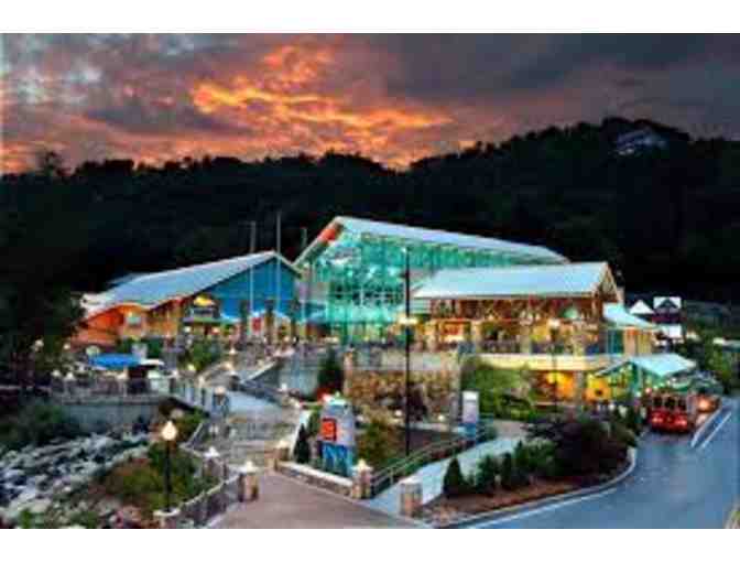 Ripley's Aquarium of the Smokies - (4) Free Admissions