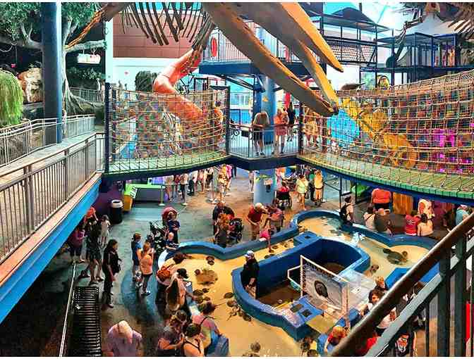 Ripley's Aquarium of the Smokies - (4) Free Admissions