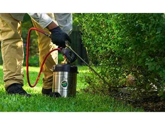 Mosquito Treatment from Mosquito Joe