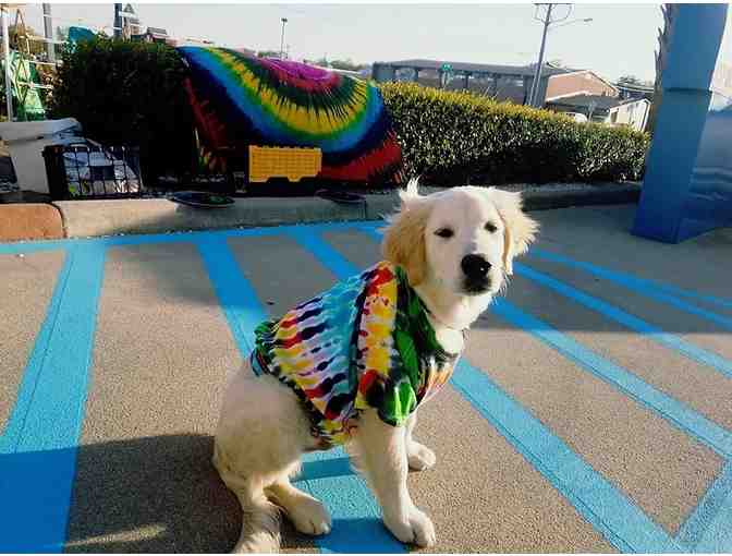 Tye Dye It Yourself - $50 Gift Card