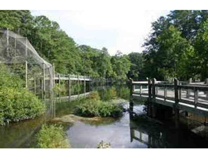 Virginia Living Museum