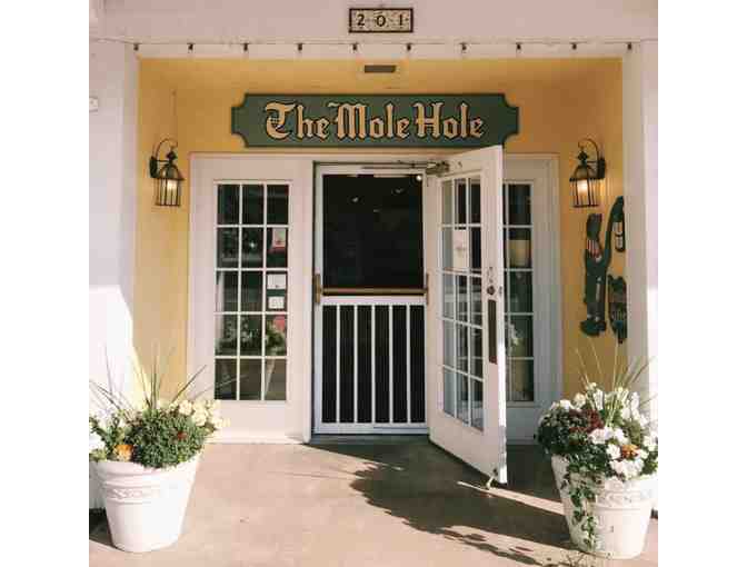 The Mole Hole