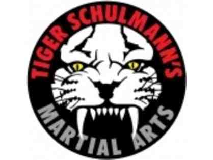 1 Month of Kickboxing Training (8 Classes)