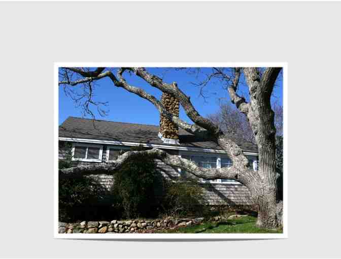 Martha's Vineyard 1940s Cottage for a Week