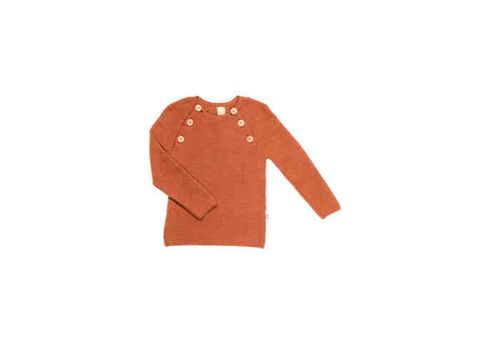 $100 Gift Certificate for Organic Cotton/Wool Childrenswear by Nui Organics