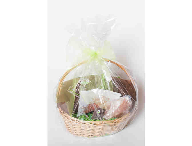 Salt of the Earth Session