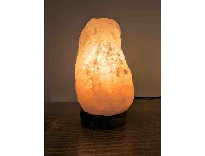 Salt of the Earth Session