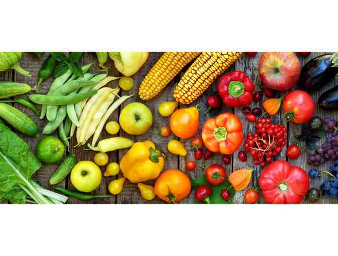 An intensive deep dive with a Functional Nutrition Practitioner