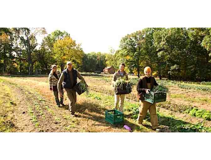 Wheel Barrel Full of Biodynamic Compost from the Pfeiffer Center