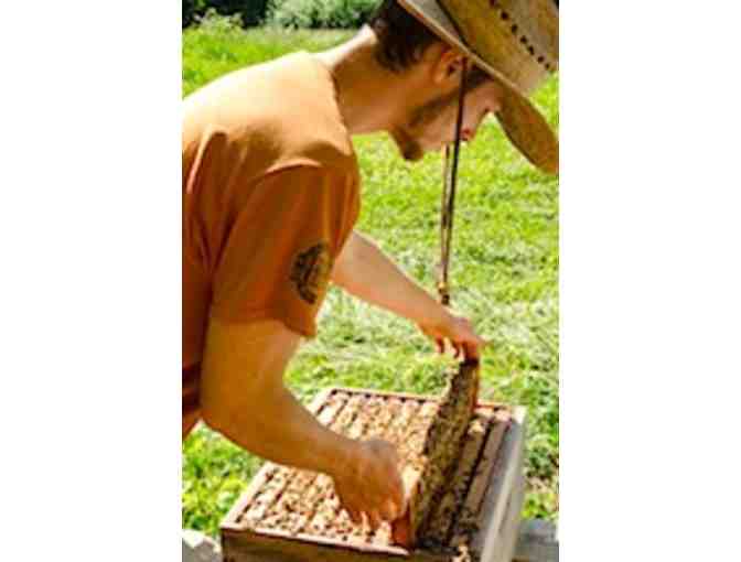 Wheel Barrel Full of Biodynamic Compost from the Pfeiffer Center