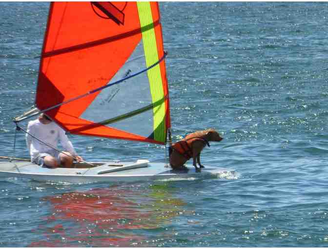 America's Cup Yacht Sailing in San Diego