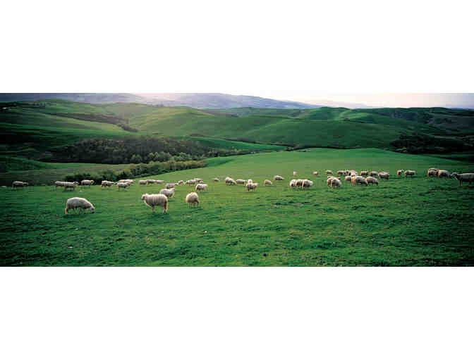 Italian Cheese Tasting