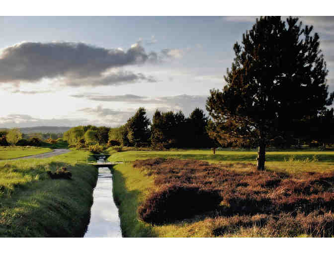 Scotland Championship Golf Experience