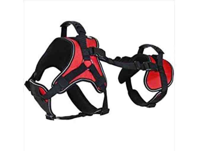 'It's Never Long Enough' Book and Gift Basket