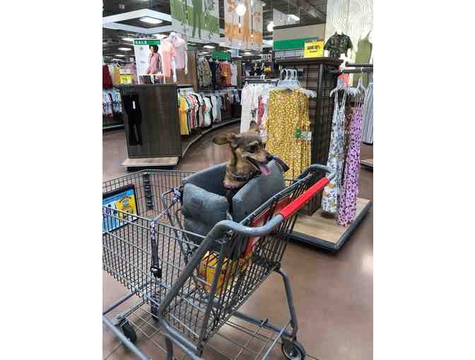 Small Dog Carrier Tote Bag and Dog Car Bed for Car Center Console by DogGoods