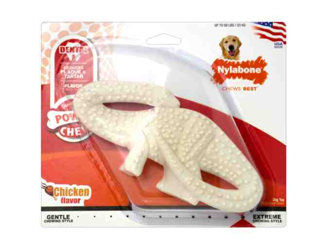 Fund-A-Need - Nylabone Dental Dinosaur