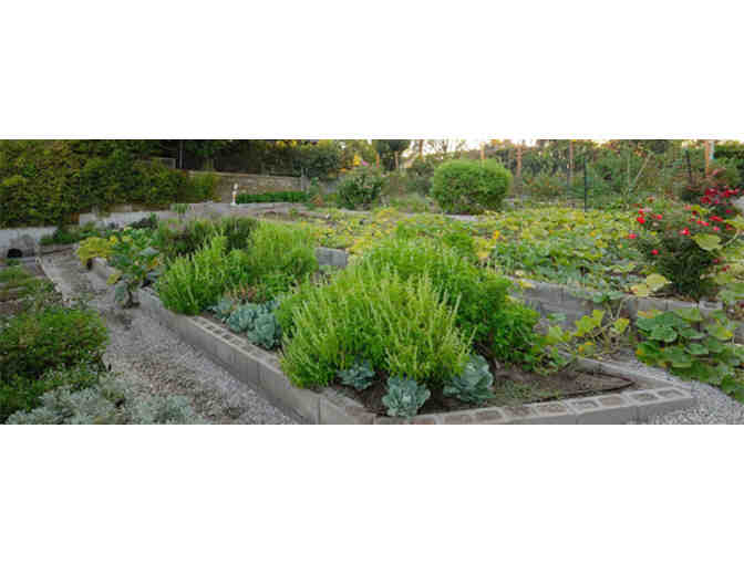 Dinner for Two at Parkway Grill