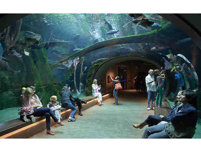 4 Passes to California Academy of Sciences