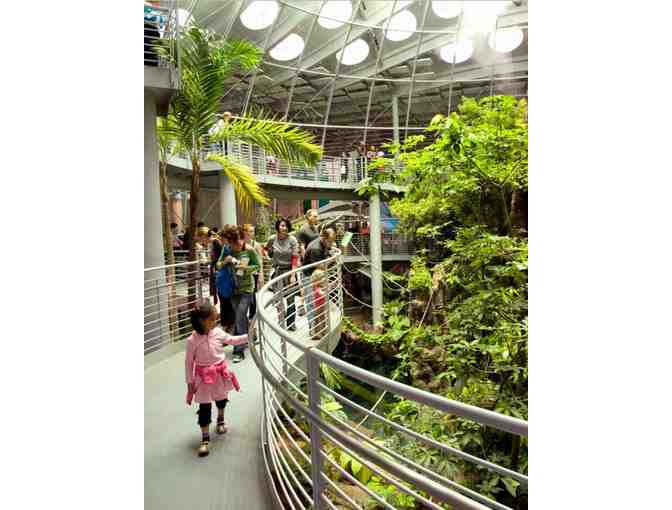 4 Passes to California Academy of Sciences