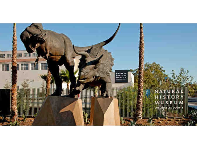 4 Passes to the Natural History Museum or La Brea Tar Pits