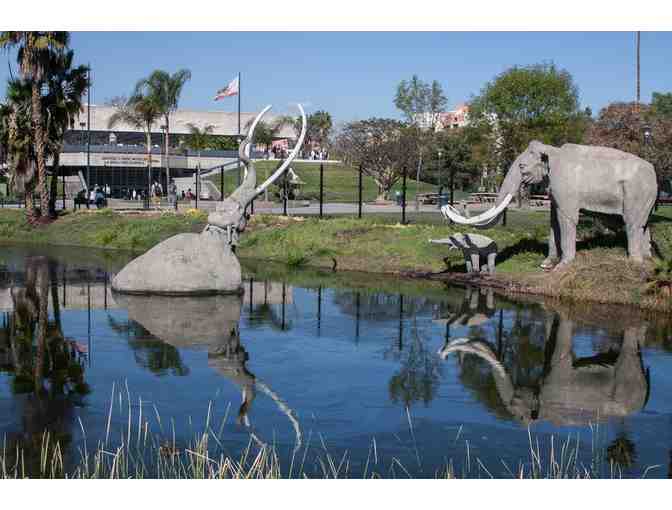 4 Passes to the Natural History Museum or La Brea Tar Pits