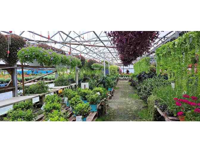 Ready to Plant this Spring