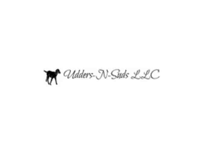 Luxury Goat Milk for Your Body