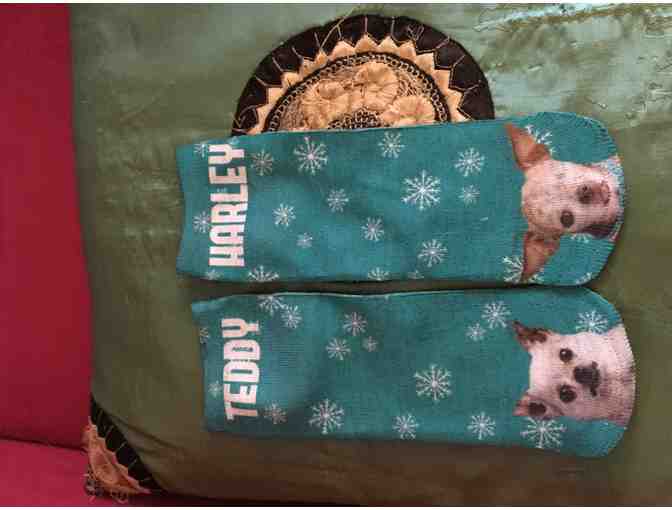 Harley and Teddy Socks