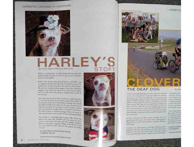 Denver Dog Magazine - Article about Harley
