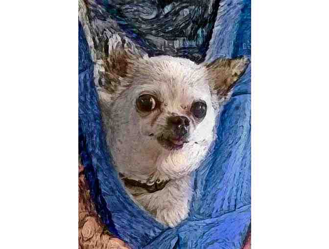 Harley & Teddy (set of 8) Greeting Cards 5x7