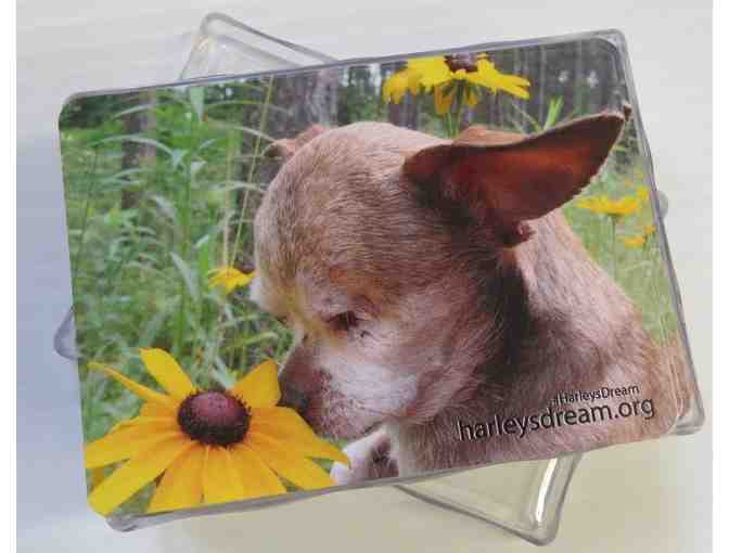 Custom Trading/Playing Cards - Set of 52 (Harley)