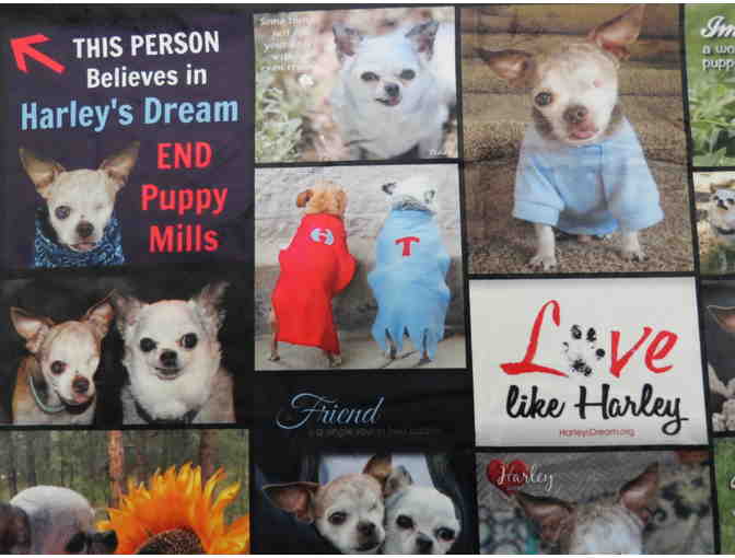 Collage of Photos Sherpa Throw w/Harley & Teddy